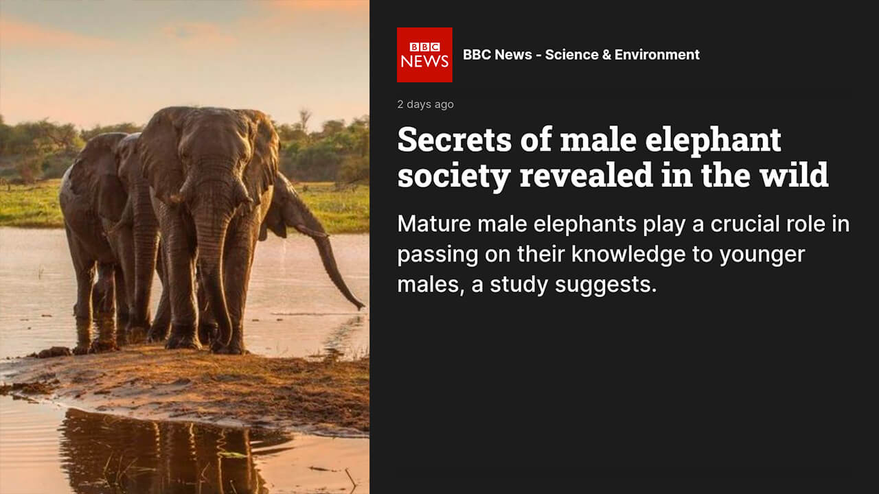 BBC News App for Digital Signage Software