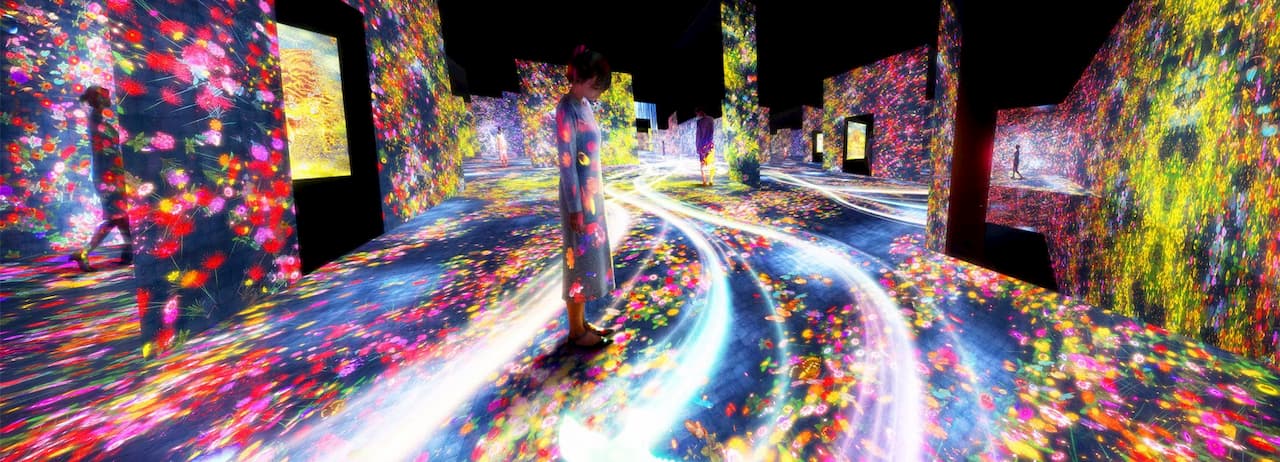 teamLab Borderless Art Exhibition - Tokyo